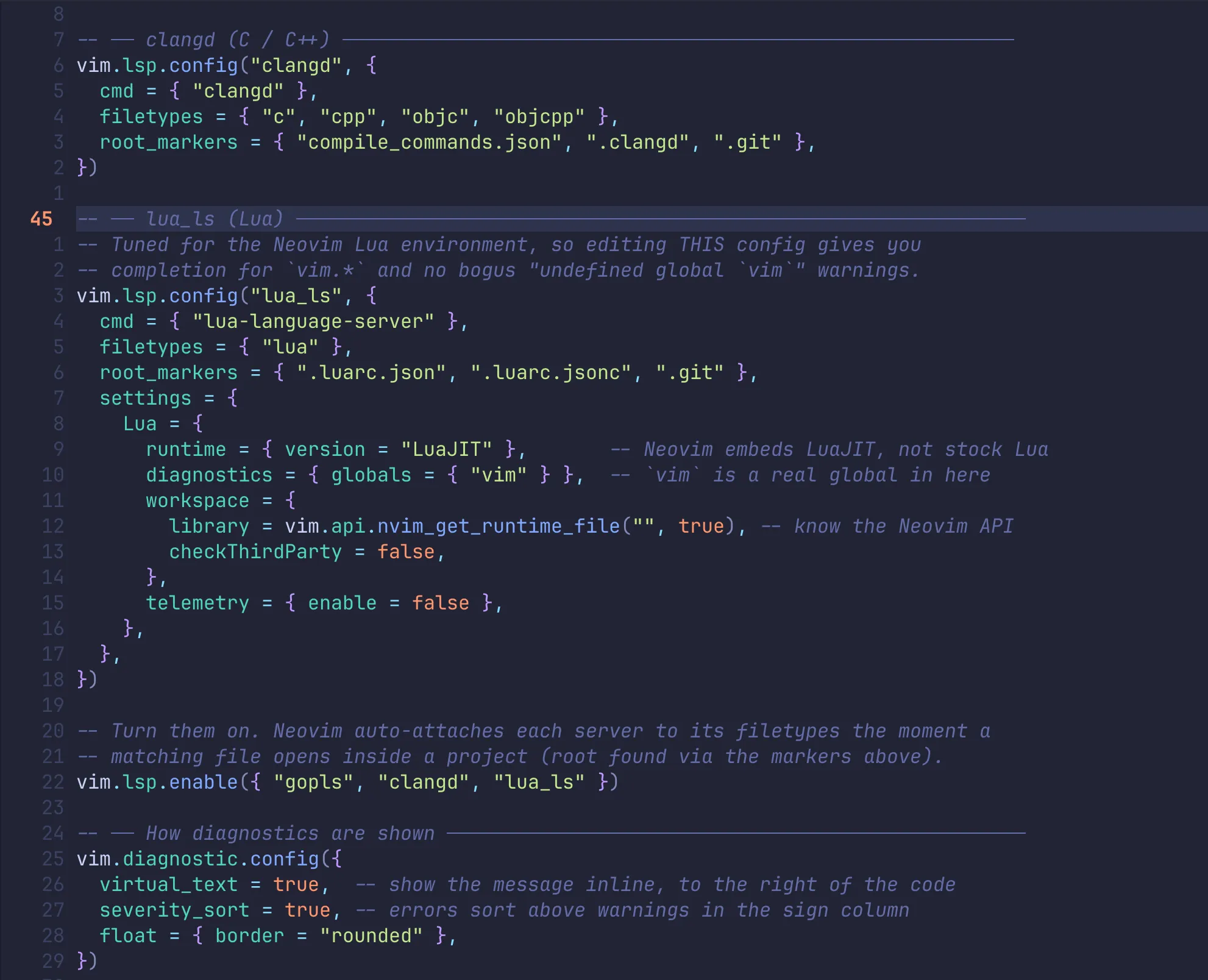 Neovim with the tokyonight colorscheme